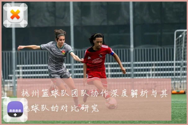 杭州篮球队团队协作深度解析与其他球队的对比研究