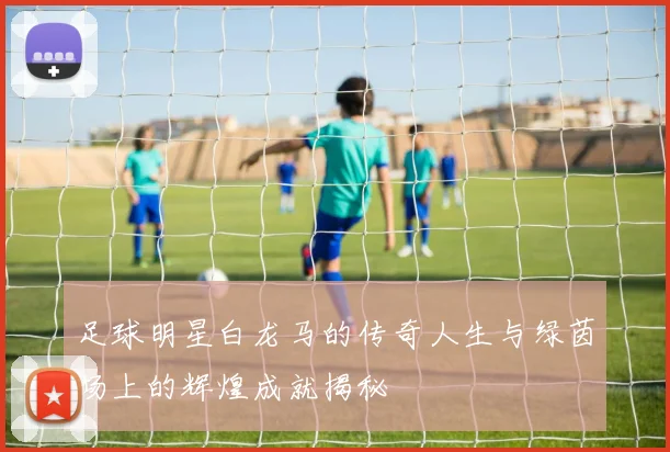 足球明星白龙马的传奇人生与绿茵场上的辉煌成就揭秘