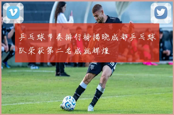 乒乓球节奏排行榜揭晓成都乒乓球队荣获第二名成就辉煌