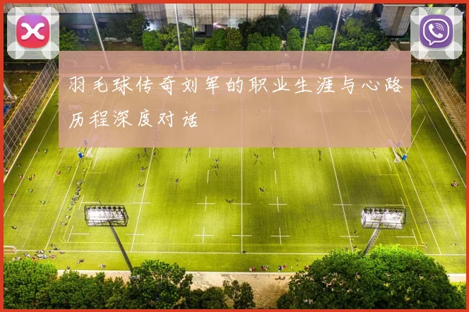 羽毛球传奇刘军的职业生涯与心路历程深度对话