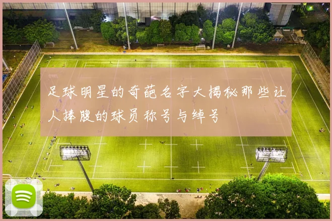 足球明星的奇葩名字大揭秘那些让人捧腹的球员称号与绰号