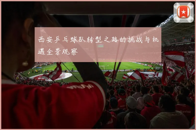 西安乒乓球队转型之路的挑战与机遇全景观察