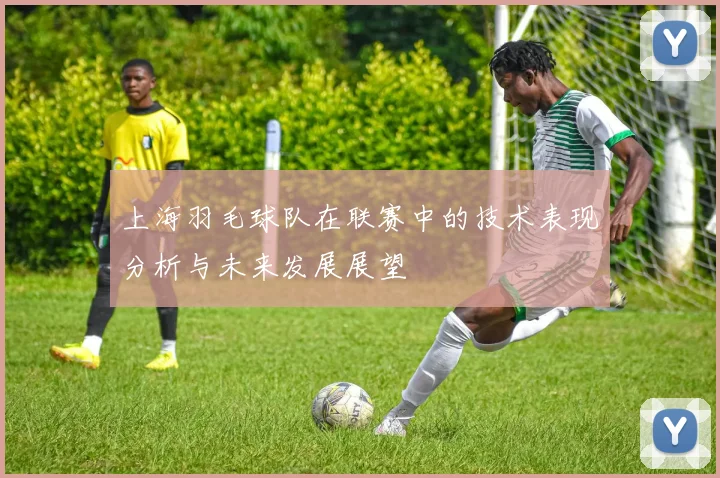 上海羽毛球队在联赛中的技术表现分析与未来发展展望