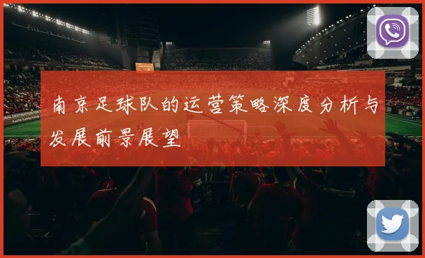 南京足球队的运营策略深度分析与发展前景展望
