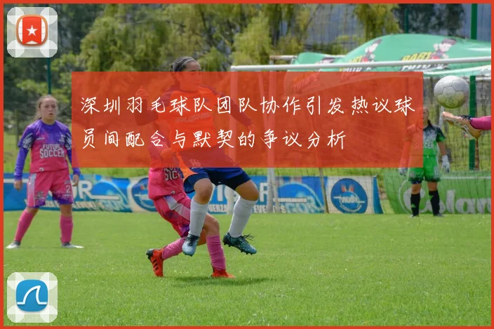 深圳羽毛球队团队协作引发热议球员间配合与默契的争议分析