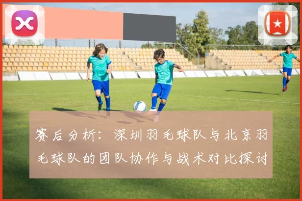 赛后分析：深圳羽毛球队与北京羽毛球队的团队协作与战术对比探讨