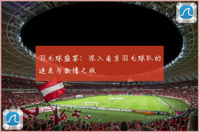 羽毛球盛宴：深入南京羽毛球队的速度与激情之旅