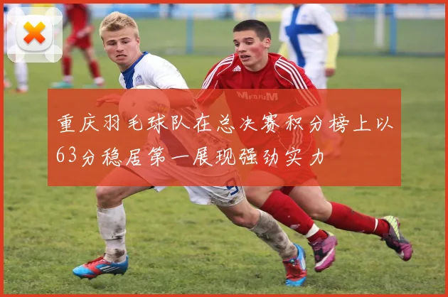 重庆羽毛球队在总决赛积分榜上以63分稳居第一展现强劲实力