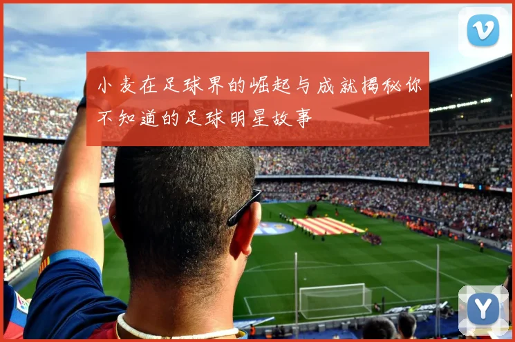 小麦在足球界的崛起与成就揭秘你不知道的足球明星故事