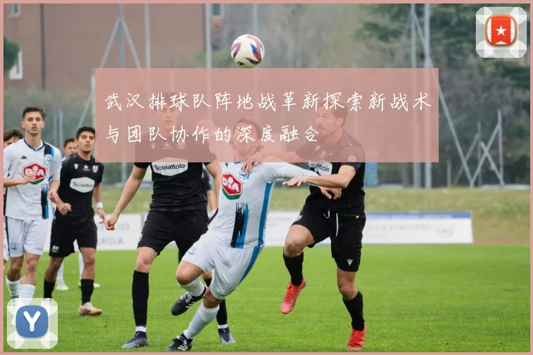 武汉排球队阵地战革新探索新战术与团队协作的深度融合