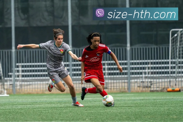 华体会APP 封面图